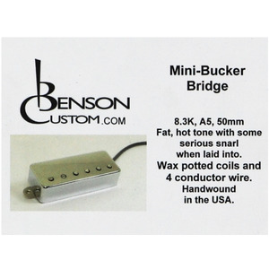 [Benson Custom] Mini-Bucker Bridge